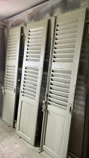 VOLETS PEINT EN VERT